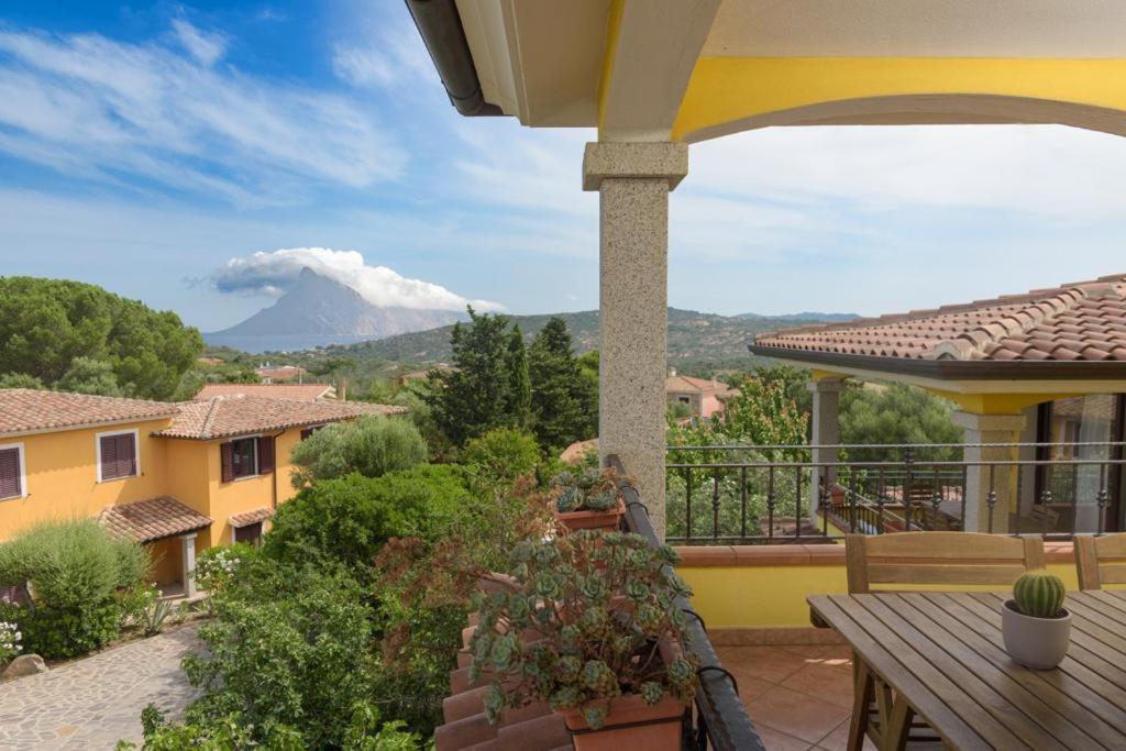 Residence Agrifoglio Monte Petrosu Exteriér fotografie